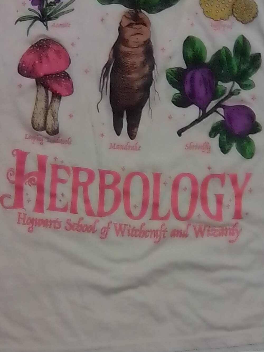 Herbology Kids Short Sleeve Tee - Cream Botanical Graphic - Picture 3 of 4